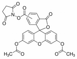 5(6)-羧基二乙酸荧光素琥珀酰亚胺酯