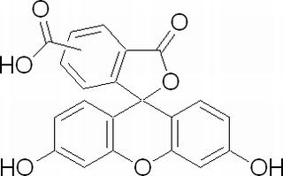 5(6)-羧基荧光素
