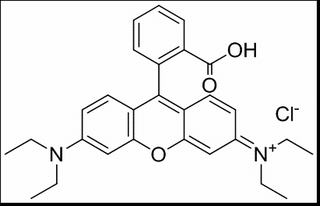 玫瑰红B