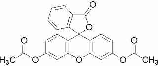 二乙酸荧光素