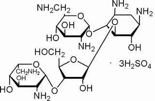  新霉素硫酸盐