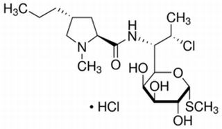 克林霉素盐酸盐