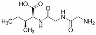 L-甘-甘-异白三肽