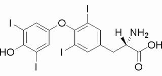 L-甲状腺素