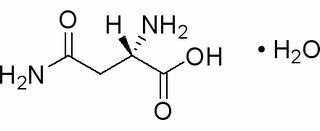 L-天冬素一水