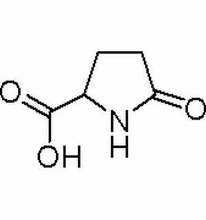 DL-2-吡咯烷酮-5-羧酸