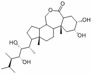 24-表油菜素内酯