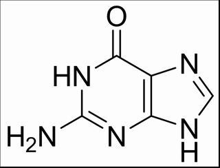 鸟嘌呤核苷酸结构式图片