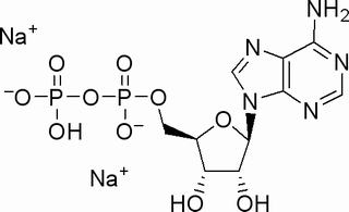 5-二磷酸腺苷二钠盐