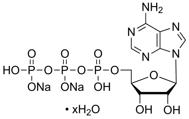 5-三磷酸腺苷二钠盐