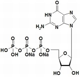 鸟苷-5'-三磷酸二钠盐