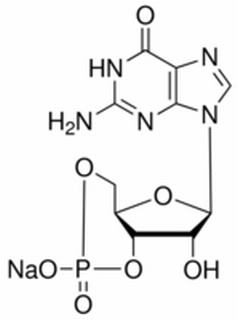 3',5'-环一磷酸鸟苷钠盐