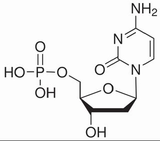 5ˊ-磷酸脱氧胞苷