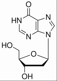 2ˊ-脱氧次黄嘌呤核苷