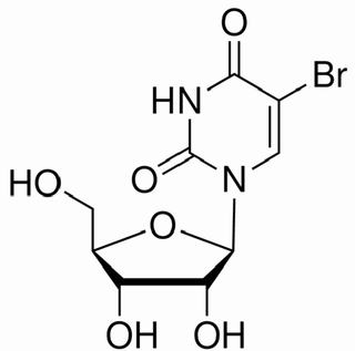5-溴尿嘧啶核苷