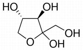 D-木酮糖