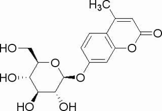 4-甲基伞形酮酰-β-D-吡喃葡糖酸苷