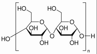 玉米淀粉