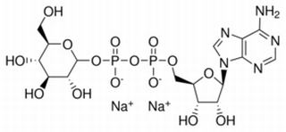 5'-二磷酸葡萄糖腺苷二钠盐