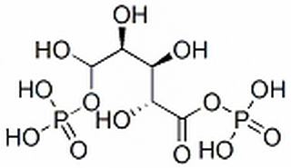 1，5二磷酸核酮糖