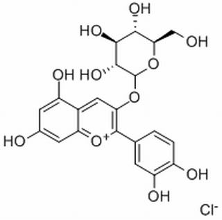 矢车菊素葡萄糖苷