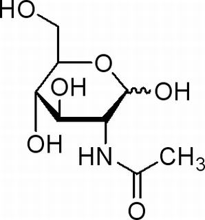 N-乙酰-葡萄糖胺