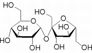 β-D-呋喃果糖基- α-D-吡喃葡萄苷