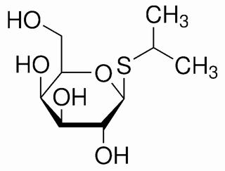  异丙基-β-D-硫代半乳糖吡喃糖苷