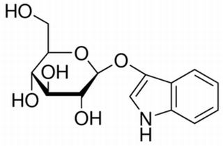 吲哚酚-β-葡糖苷