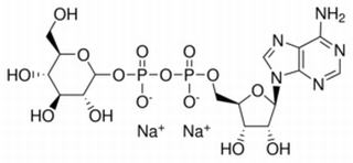 腺苷5'-二磷酸葡糖二钠