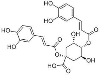 1,4-二咖啡酰奎宁酸