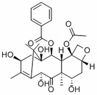 10－脱乙酰基巴卡丁III