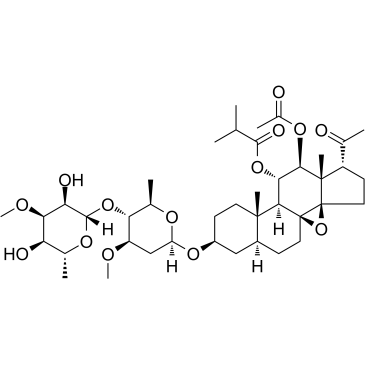 11-O-异丁酰基-12-O-乙酰基通关藤甘元B-3-O-茯苓二糖基