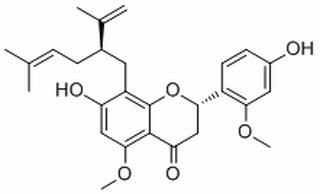 2'-O-Methylkurarinone