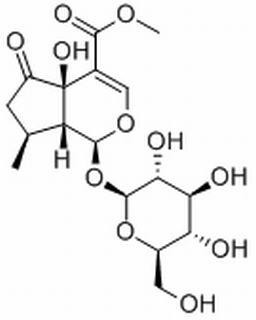 5-羟基马鞭草苷