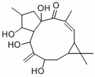 7-羟基千金子二萜醇