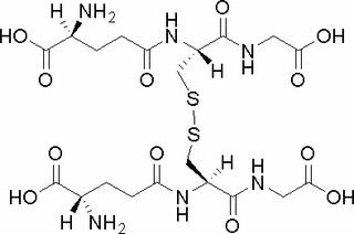 L-氧化型谷胱甘肽
