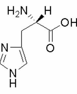 L-组氨酸