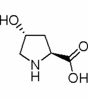 L-羟脯氨酸