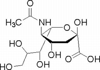 N-乙酰-神经氨酸