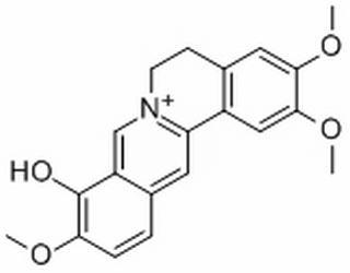 巴马亭红碱