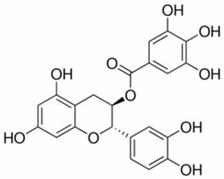 儿茶素没食子酸酯