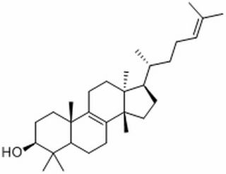 大戟二烯醇