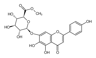 灯盏花乙素甲酯