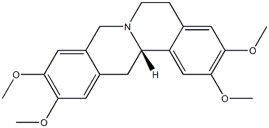 番荔枝宁