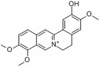 非洲防己碱