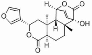 古伦宾