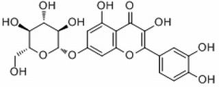 槲皮素-7-O-葡萄糖苷