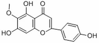 高车前素