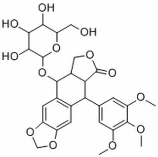 鬼臼毒素-4-O-葡萄糖苷